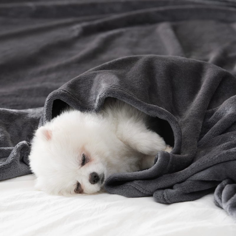 BEAUTEX Fleece Throw Blanket for Couch Sofa or Bed Throw Size, Soft Fuzzy Plush , Luxury Flannel Lap Blanket, Super Cozy and Comfy for All Seasons (Graphite, 50" x 60") - Image 2